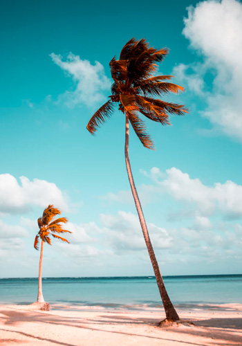 gallery-img